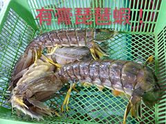 -班赞海鲜市场