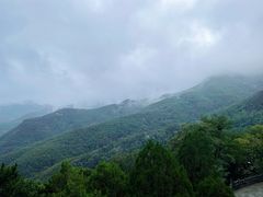 -泰安东尊华美达广场酒店(泰山景区店)