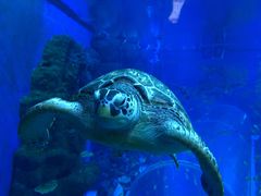 -成都浩海立方海洋公园