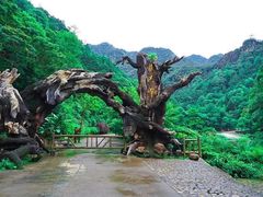 -龙湾潭国家森林公园