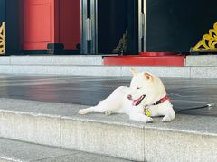 -浅草寺