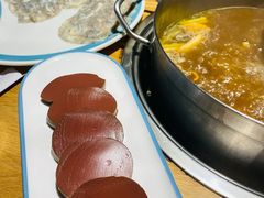 -青瓷火锅料理(西单大悦城店)