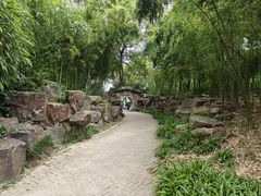 -无锡蠡湖国家湿地公园-蠡园