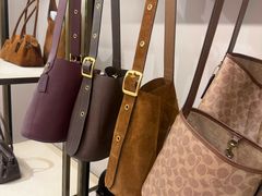 -COACH蔻驰(德基广场店)