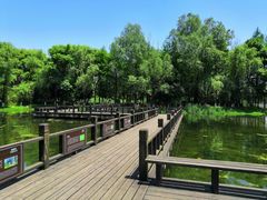 -洋湖国家湿地公园