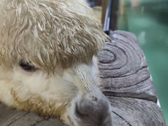 -苏州海洋馆