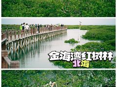 -北海金海湾红树林生态旅游区