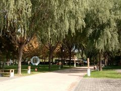 -唐城墙遗址公园