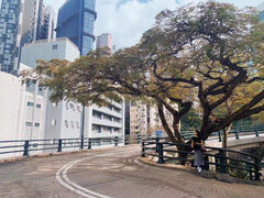 -香港大学