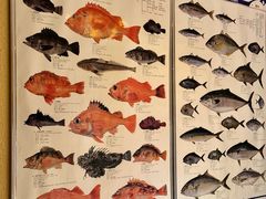 -镹·鱼料理  国产鱼使用店