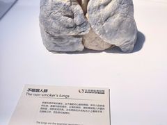 -生命奥秘博物馆