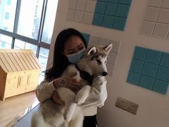 -Husky Go! 哈士奇体验馆·宠物咖啡厅狗咖