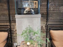 -川旺角川粤融合菜•海景餐厅(星海广场店)