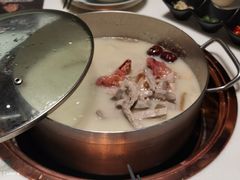-洪氏嗨捞·猪肚鸡火锅(阳光天地店)
