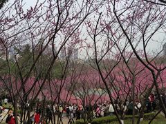 -重庆彩云湖湿地公园