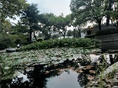 -红梅公园