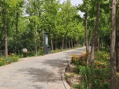 -石家庄市植物园