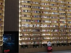 -深影国际影城(学院南路店CGS中国巨幕店)
