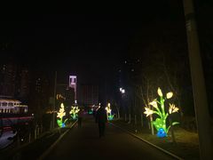 -雁滩公园