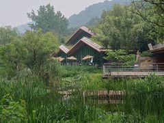 -西湖风景区-江洋畈生态公园