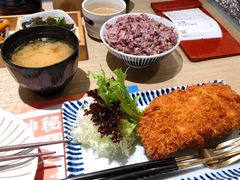 -堂本家·二代目·炸猪排(Express东海店)