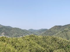 -宁波浙东大竹海景区