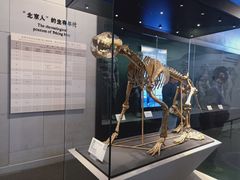 -北京周口店北京人遗址博物馆