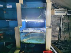 -鹰龙海畔度假酒店(咸祥店)