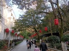 -云碧峰国家森林公园
