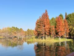 -贡湖湾湿地公园