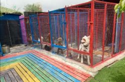 -萌宠亲子动物乐园(槐房万达店)