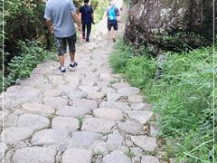 -楠溪江石桅岩