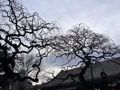 -颐和园