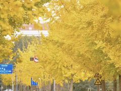 -上海交通大学(闵行校区)