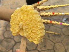 -西双版纳傣族园