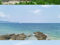 -杨梅坑