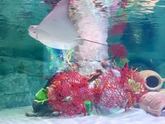 -沈阳海洋探索中心