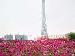 -海心沙亚运公园