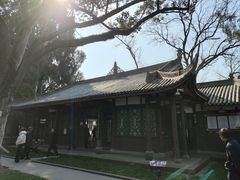 -子昂故里文化旅游区