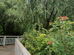 -广东花都湖国家湿地公园