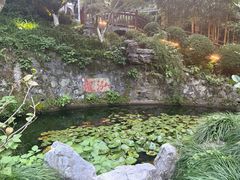 -十八棵（老龙井）御茶园(老龙井店)