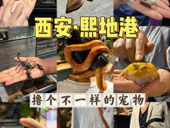 -王府井百货熙地港店