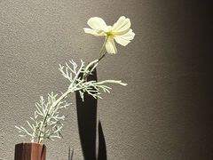 -安屿an·spa(卓悦中心商场店)