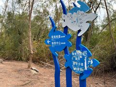 -广东惠东海龟国家级自然保护区