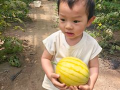 -兴芮温泉度假区