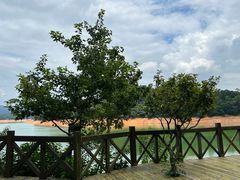 -广州市流溪河国家森林公园