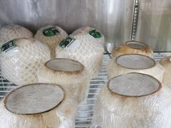 -茶大椰·椰子茶(星悦荟店)