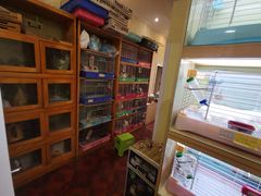 -宠物兔专门店(天丰利市场店)