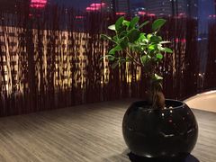 -滩万日本料理Nadaman(国贸大酒店)
