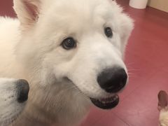 -和它·交个朋友·狗咖猫咖(爱琴海店)